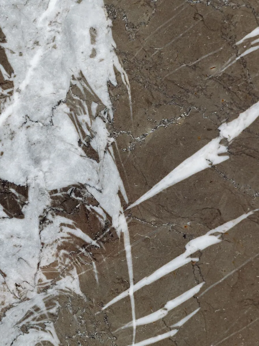 Marble or stone surface detail